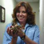 Helen E. Sweeney, DVM